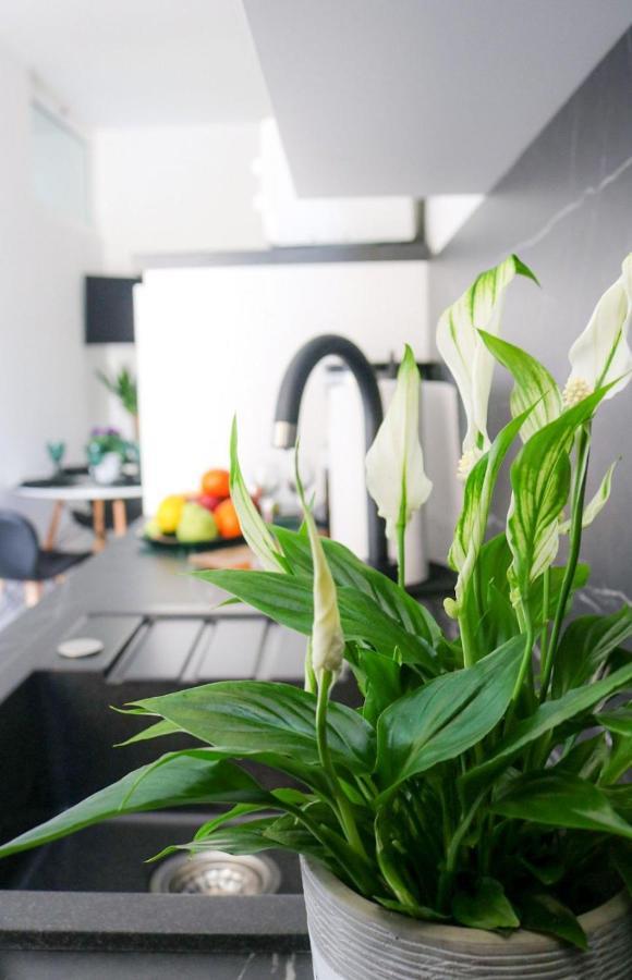 Cosmo Apartment ดูบรอฟนิก ภายนอก รูปภาพ